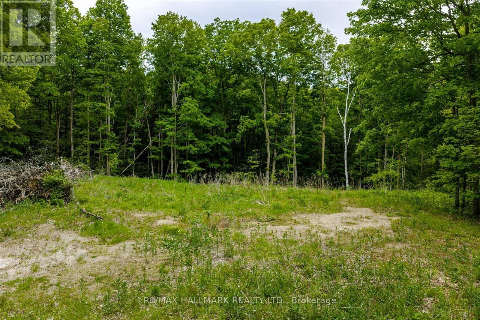 430 CHURCHILL AVENUE Image 17