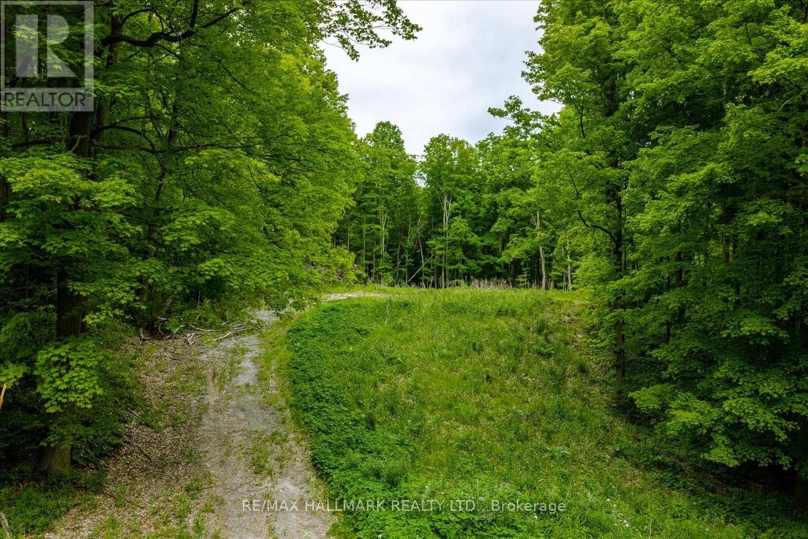 430 CHURCHILL AVENUE Image 18