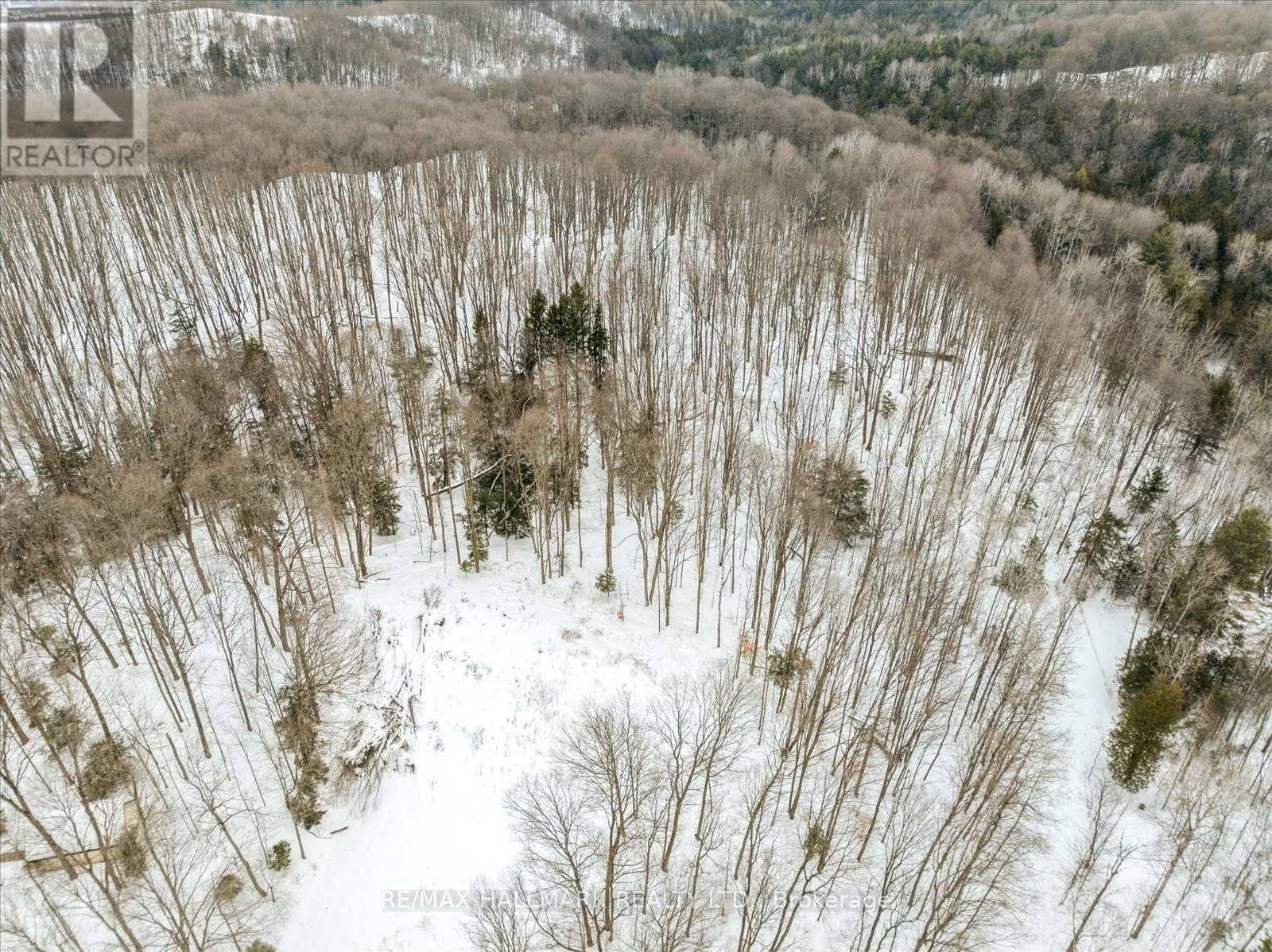 430 CHURCHILL AVENUE Image 25