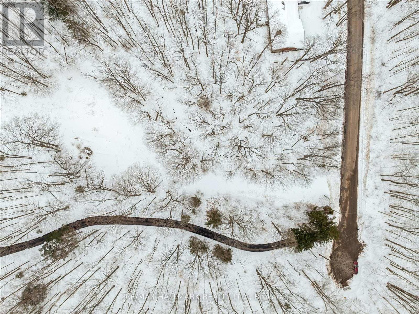 430 CHURCHILL AVENUE Image 26