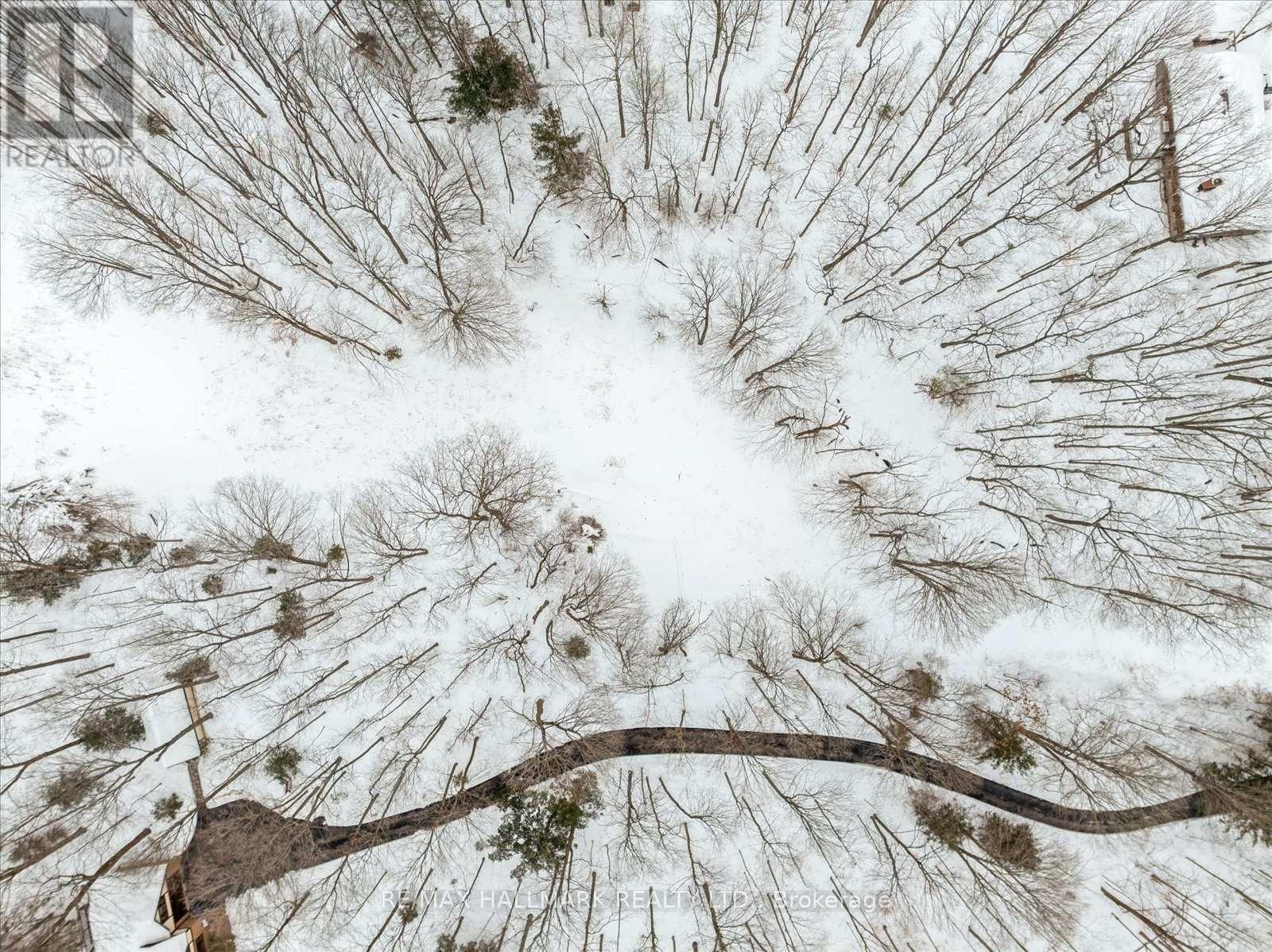 430 CHURCHILL AVENUE Image 27