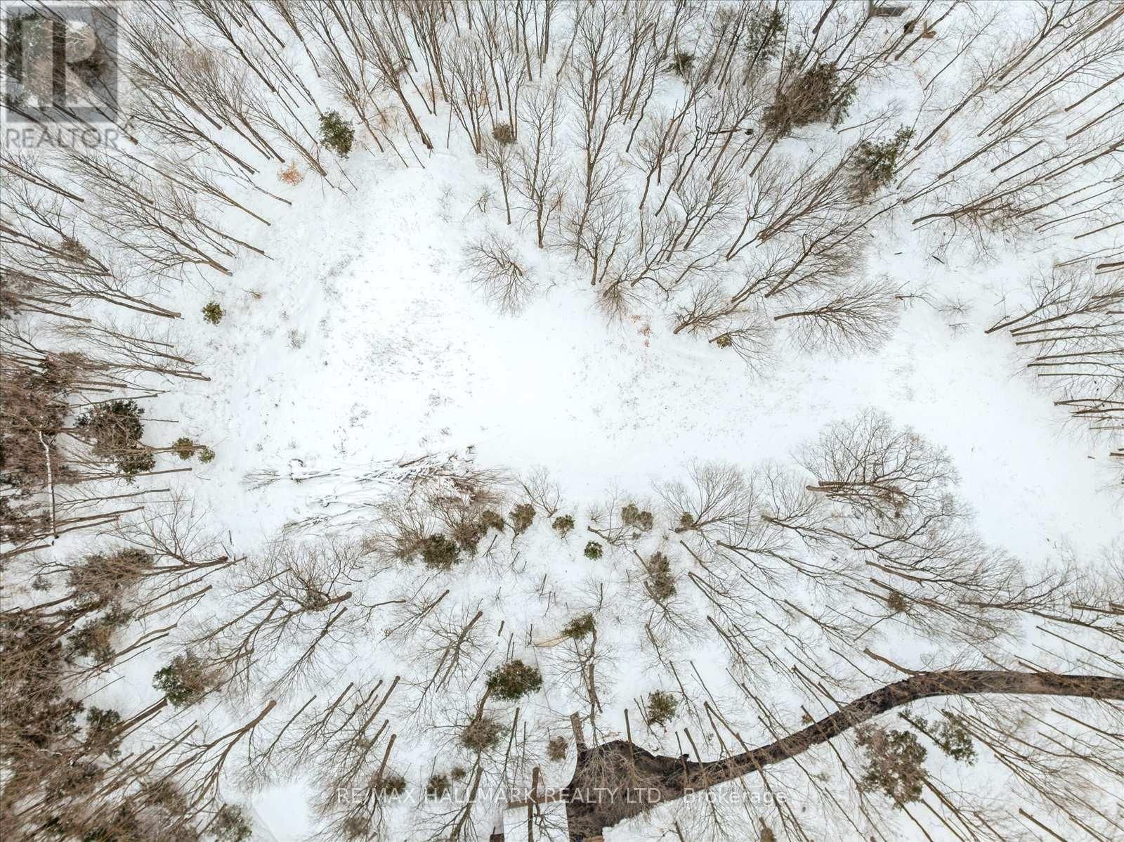 430 CHURCHILL AVENUE Image 28