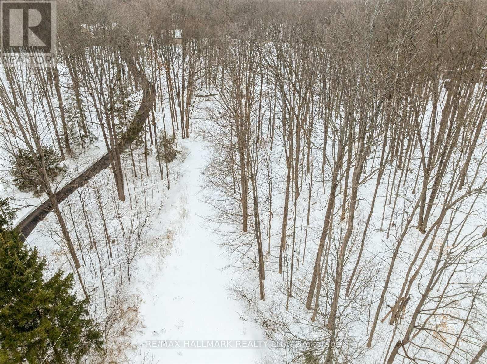 430 CHURCHILL AVENUE Image 32