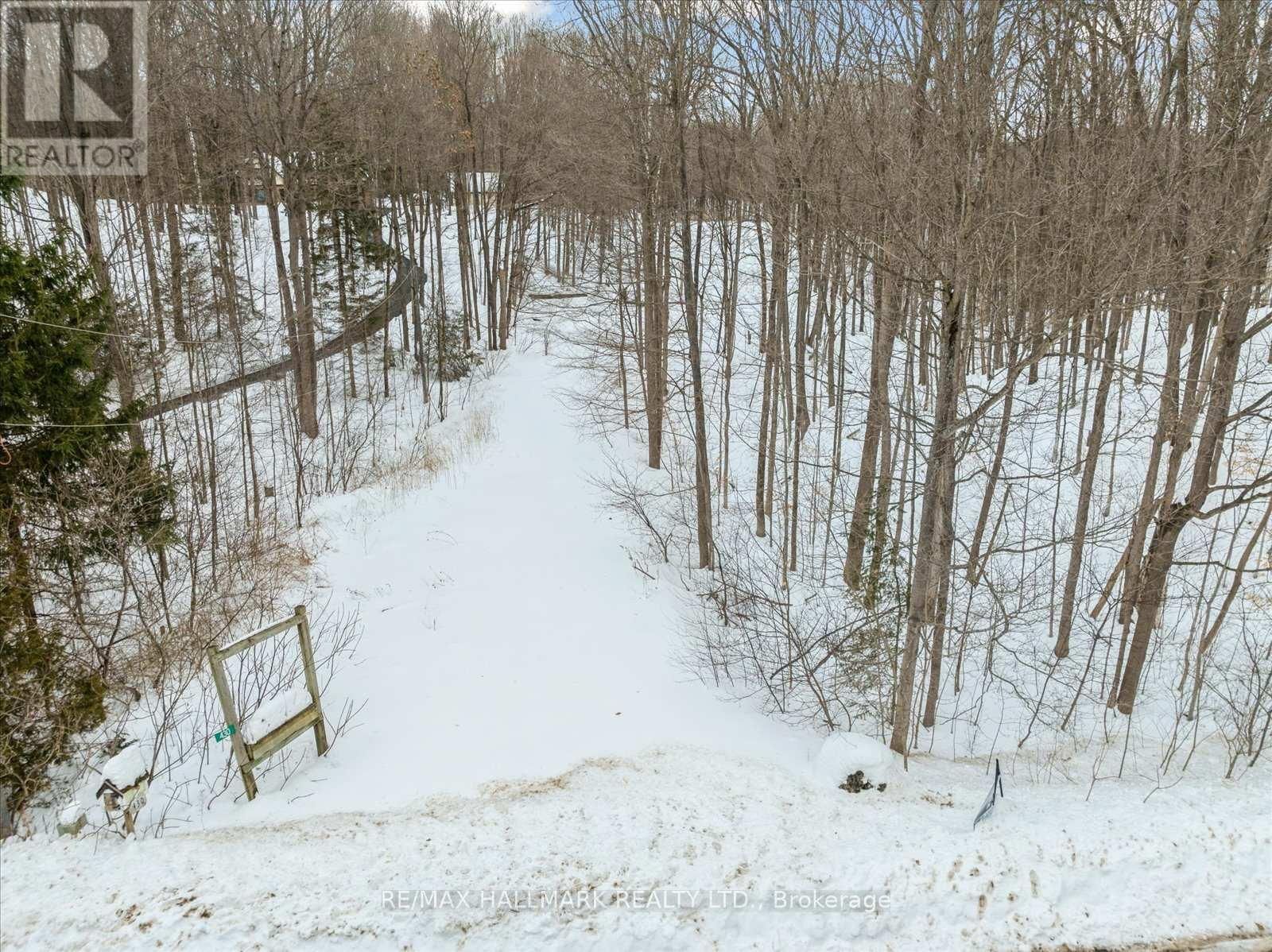 430 CHURCHILL AVENUE Image 33