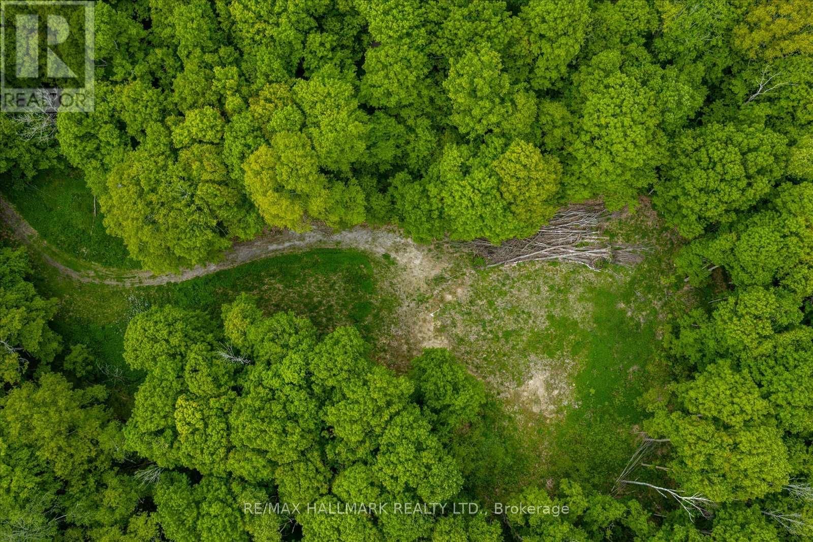 430 CHURCHILL AVENUE Image 4