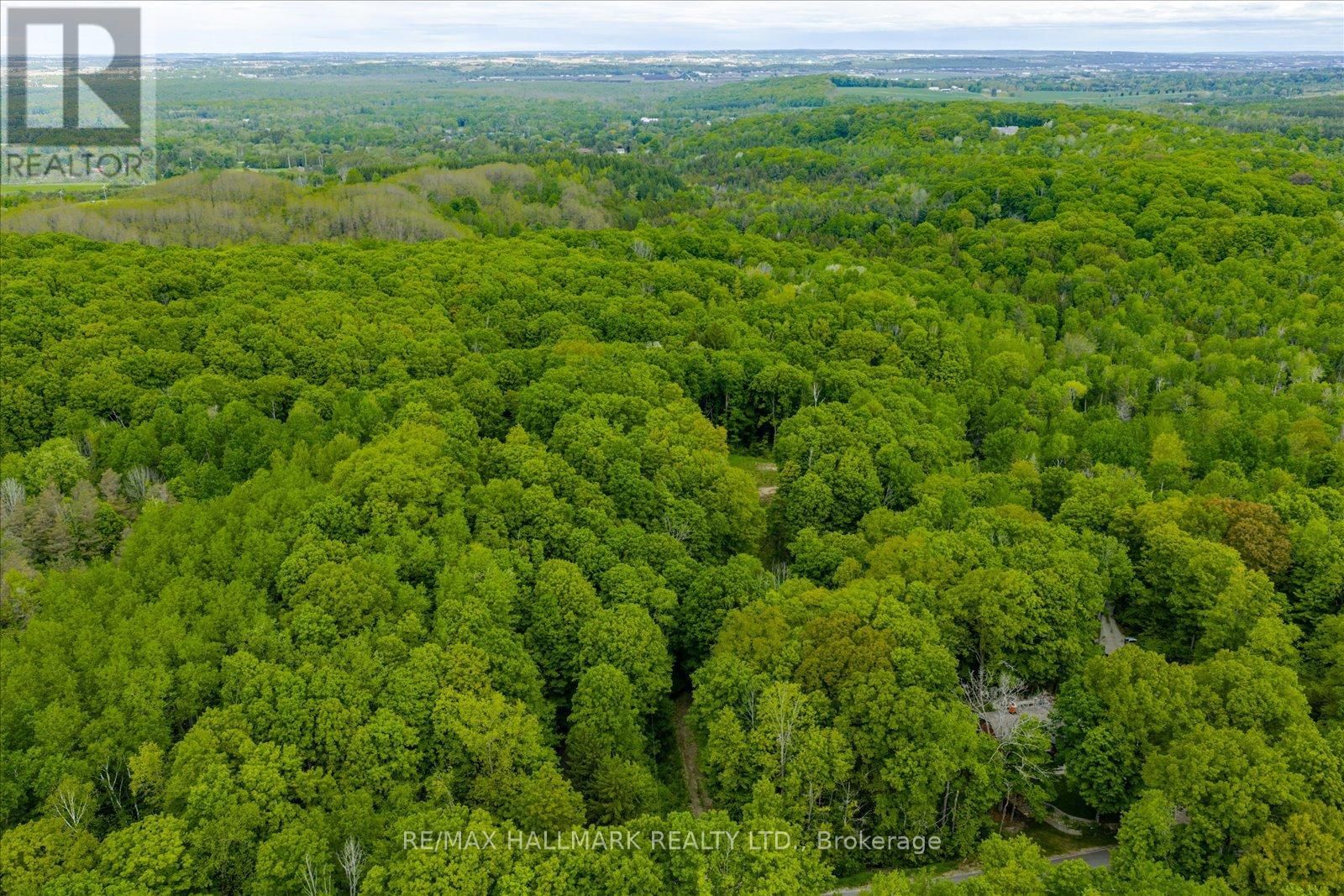 430 CHURCHILL AVENUE Image 8