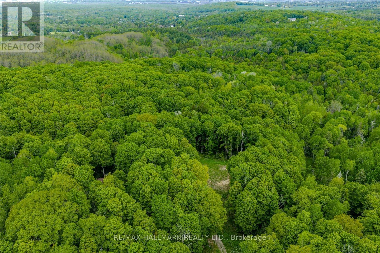 430 CHURCHILL AVENUE Image 9