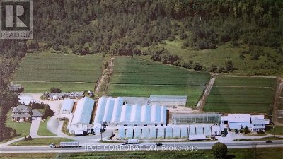 Greenhouses for Sale
