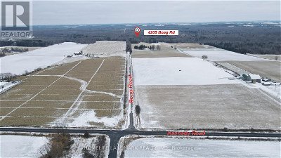 Image #1 of Commercial for Sale at 4205 Boag Rd, East Gwillimbury, Ontario