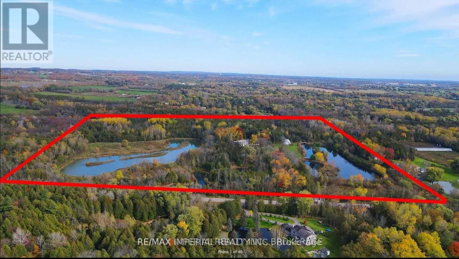 Primary Property View