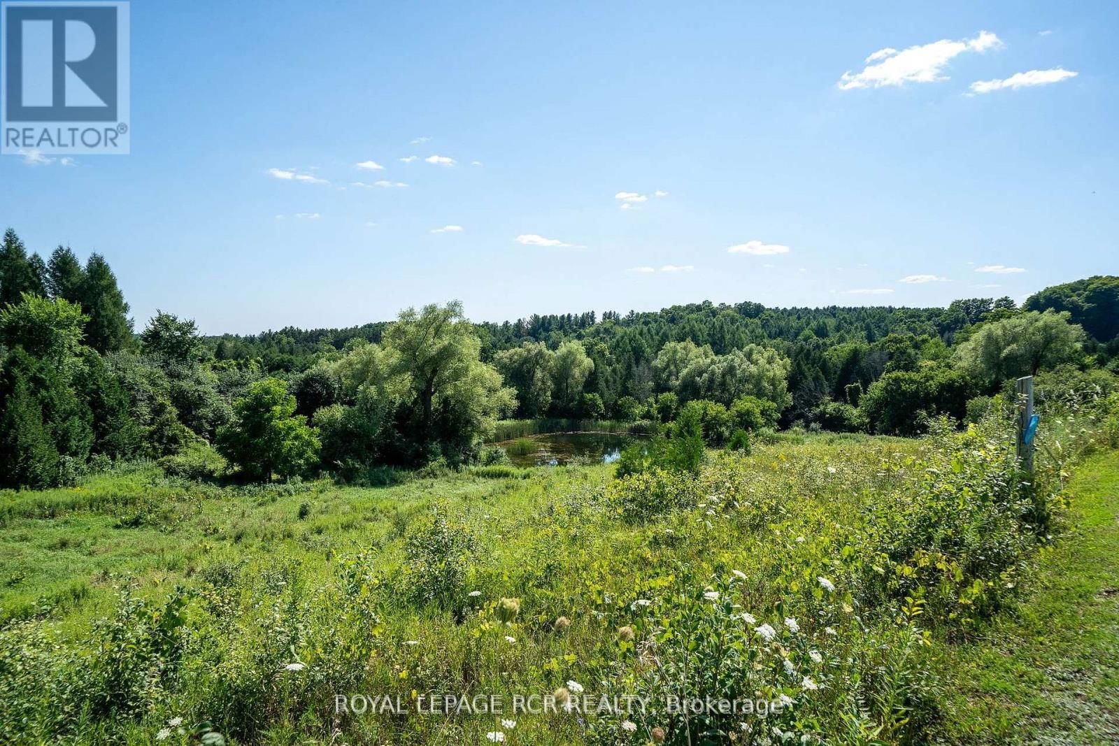 14010 11TH CONCESSION ROAD Image 38