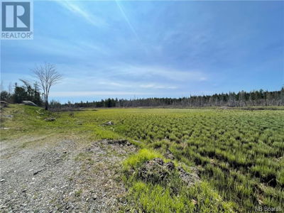 Commercial for Sale in British-columbia