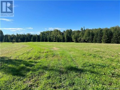 Image #1 of Commercial for Sale at 89 Acres Route 180, Bathurst, New Brunswick