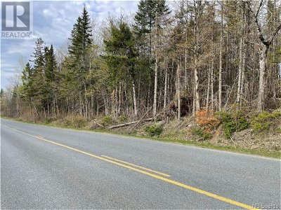 Image #1 of Commercial for Sale at Lot Route 570, Bannon, New Brunswick