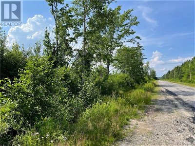 Image #1 of Commercial for Sale at 91 Acres Rte 415 Warwick Road, Warwick Settlement, New Brunswick