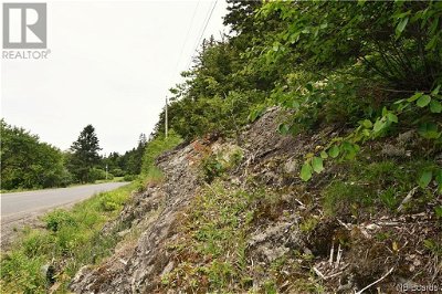 Image #1 of Commercial for Sale at - Bunker Hill Road, Wilsons Beach, New Brunswick