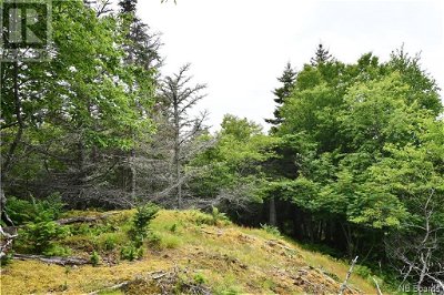 Image #1 of Commercial for Sale at - Bunker Hill Road, Wilsons Beach, New Brunswick