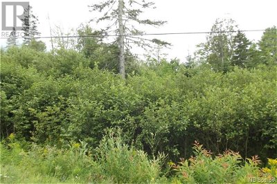 Image #1 of Commercial for Sale at 000 620 Route, Tay Creek, New Brunswick