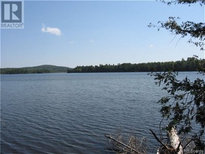 Image #1 of Commercial for Sale at Lot 16 Upper Skiff Lake Road, Canterbury, New Brunswick