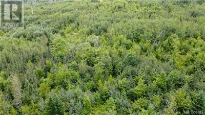 Image #1 of Commercial for Sale at 499 565 Route, Johnville, New Brunswick
