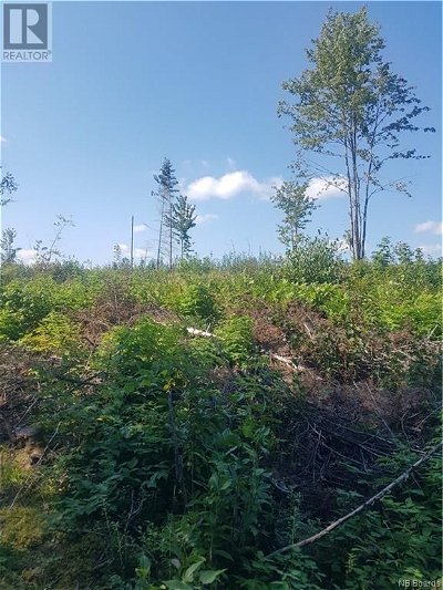 Image #1 of Commercial for Sale at Lot 1 Clearwater Brook Road, Astle, New Brunswick