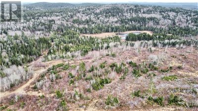 Image #1 of Commercial for Sale at 0000 Centerton Road, Clifton Royal, New Brunswick