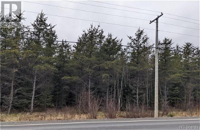 Image #1 of Commercial for Sale at Lot Route 10, Grand Lake, New Brunswick