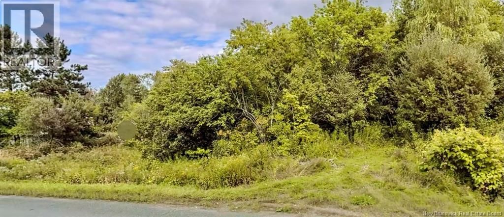 Lot ROUTE 105 Image 4