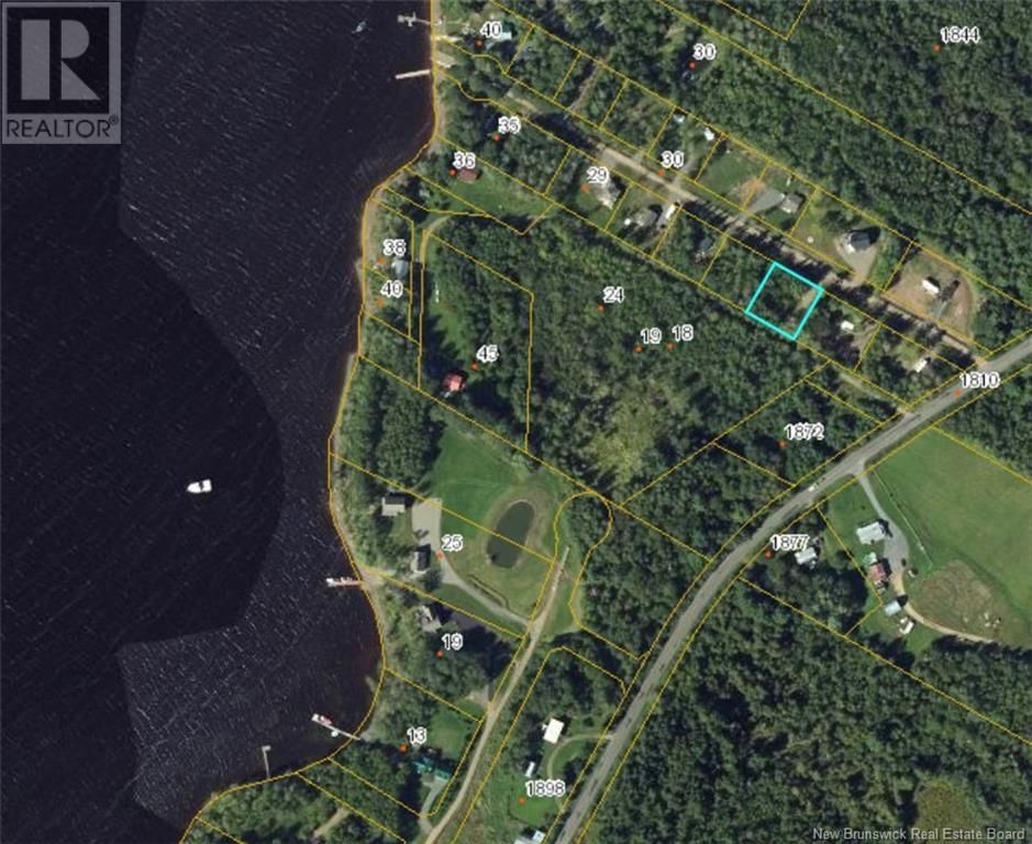 Primary Property View