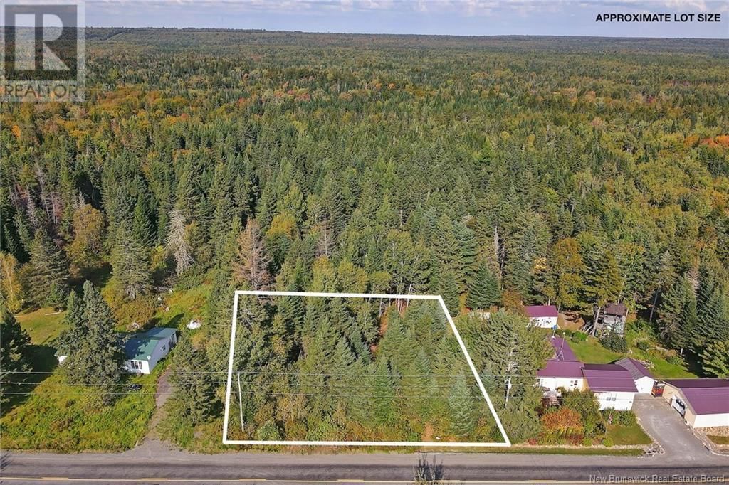 Primary Property View