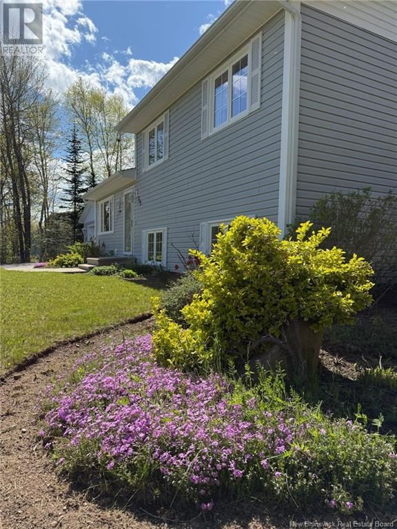 237 JACQUELINE DRIVE Image 3