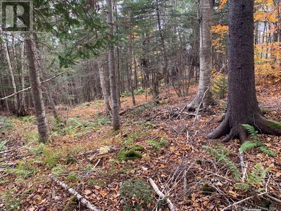Commercial for Sale in New-brunswick