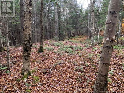 Commercial for Sale in New-brunswick