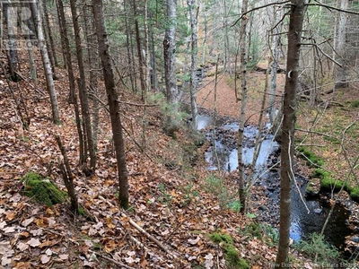 Commercial for Sale in New-brunswick