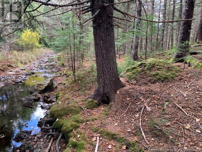 Commercial for Sale in New-brunswick
