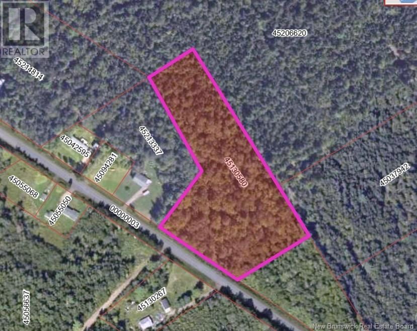 Primary Property View