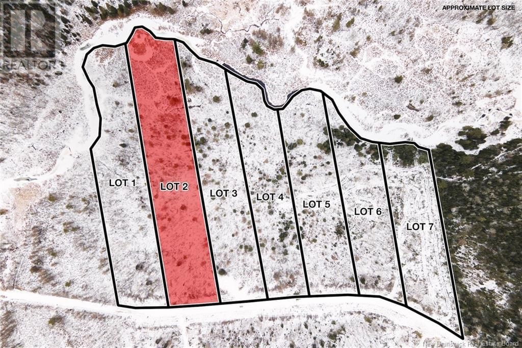 Primary Property View