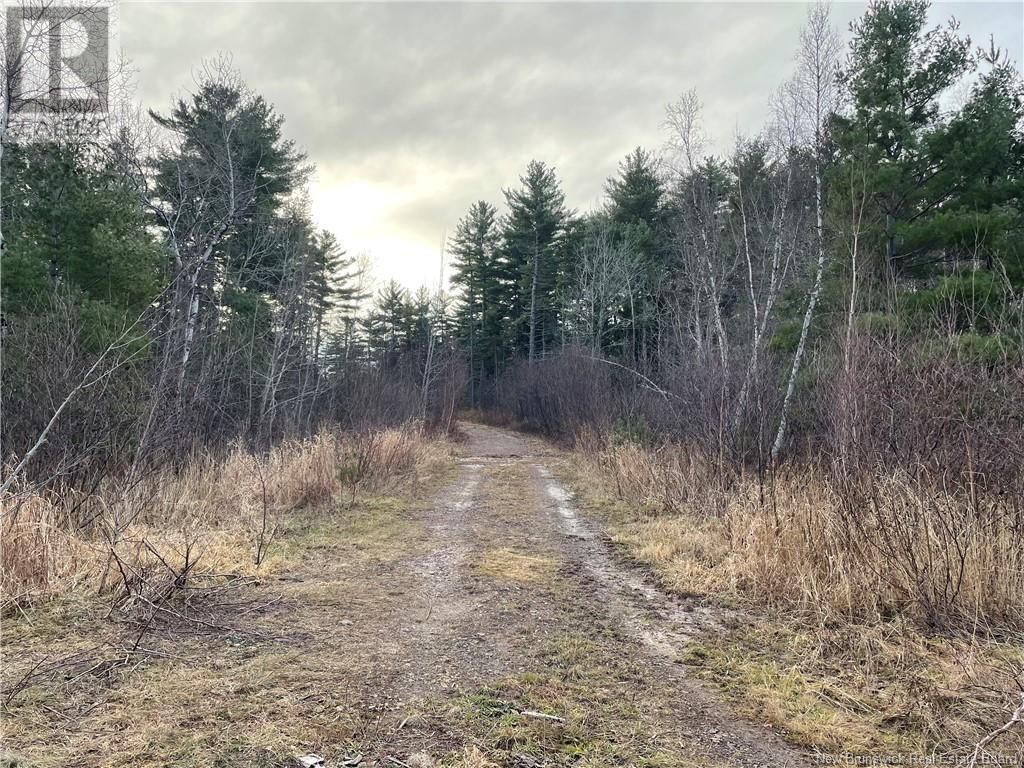 105 Route, Youngs Cove, New Brunswick E4C 2C2