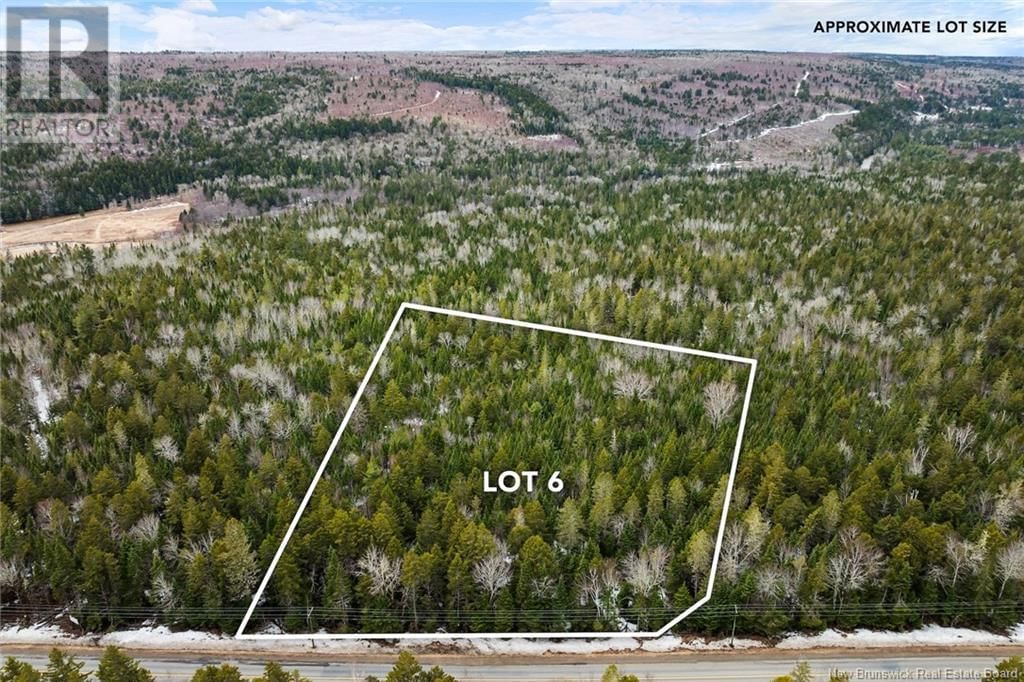Primary Property View