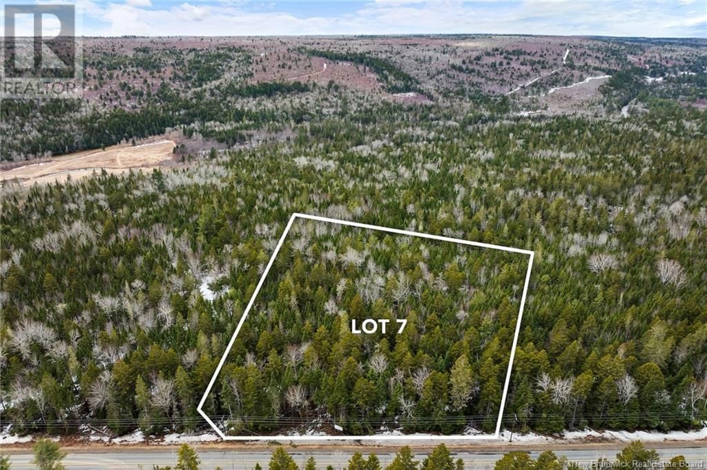 Primary Property View