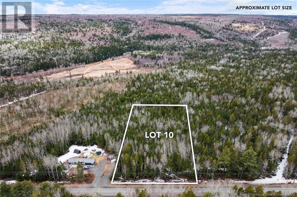 Primary Property View
