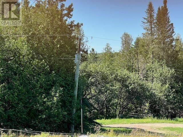 3864 ROUTE 620 Image 20