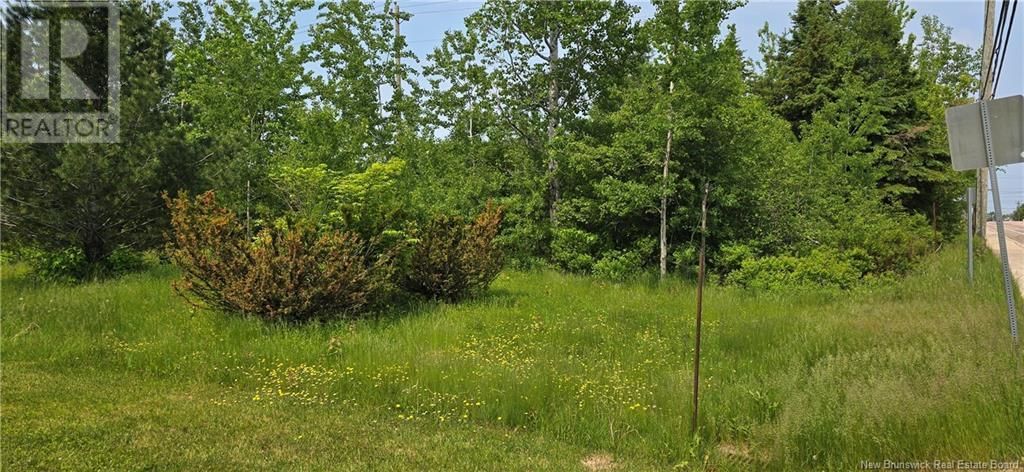 934 HILLSBOROUGH Image 7