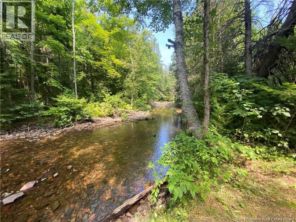  Land Archibald Road, Belledune, New Brunswick E8G 1W5