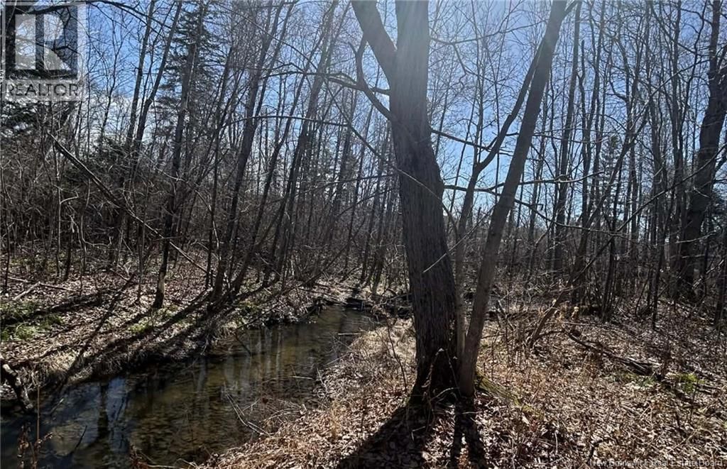 LOT DR HAMILTON DRIVE Image 1