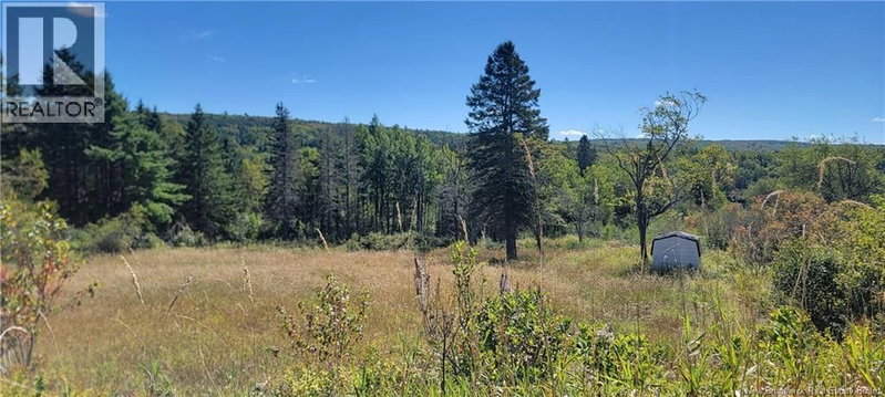 01-1 Route 121 Riverbank New Brunswick, E5T 4Z5 - Vacant Land For Sale