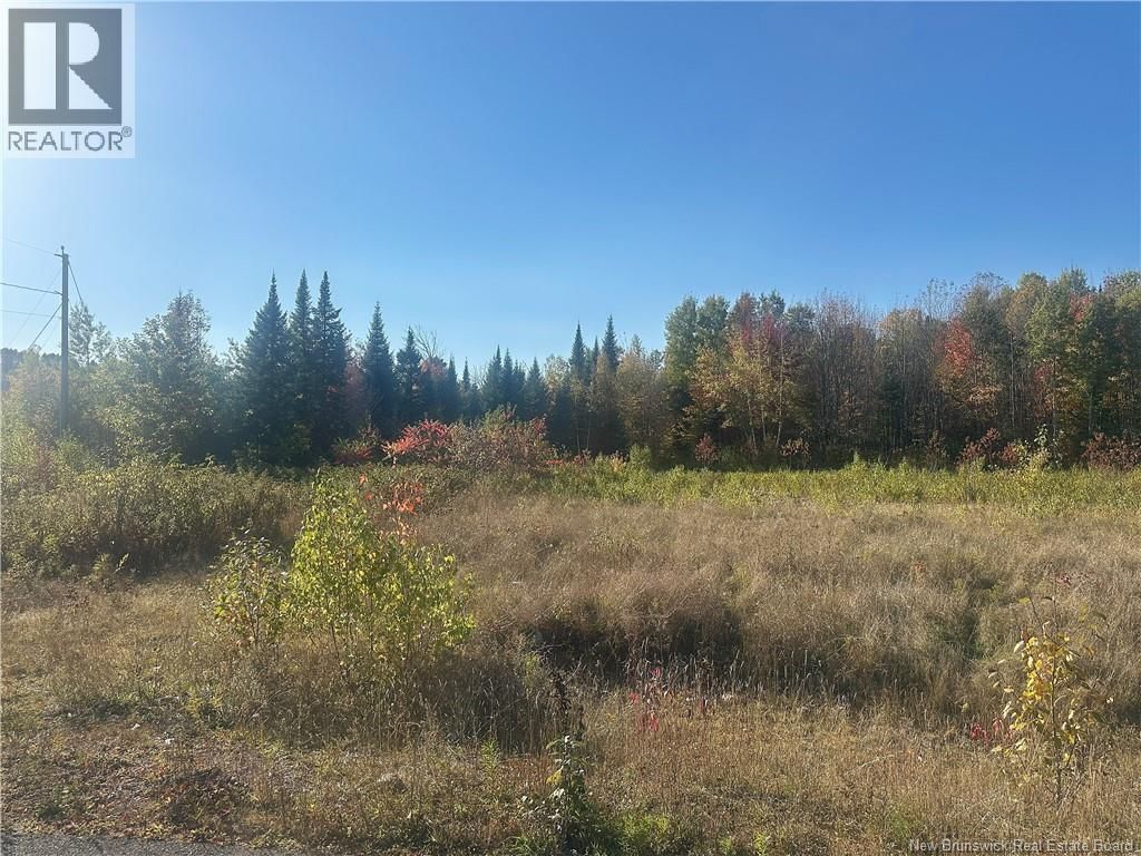 14-01 Crain Court, Bulls Creek, New Brunswick E7N 0B1