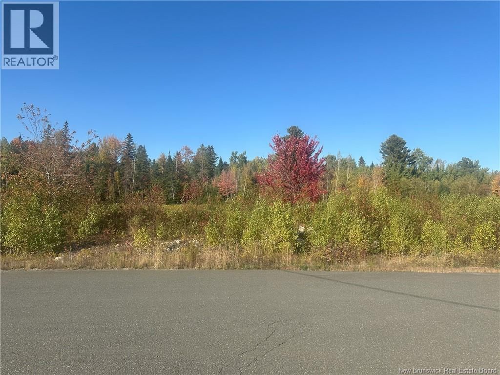 Lot - 10-04 CRAIN COURT Image 2