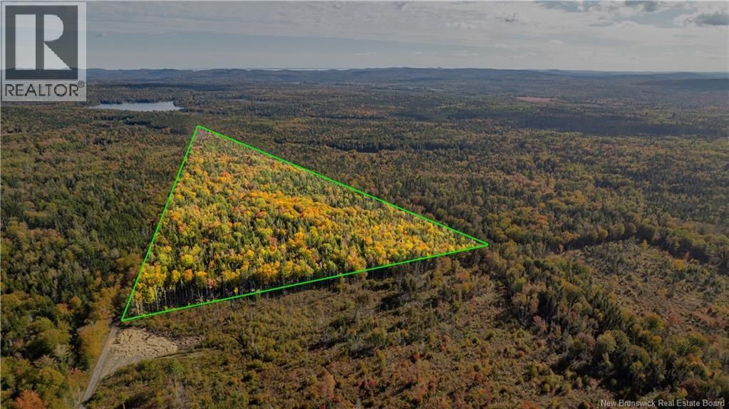 LOT Clatter Road, Rollingdam, New Brunswick E5A 2Y9