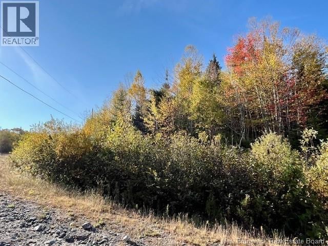 20 SADDLEBROOK COURT Image 1